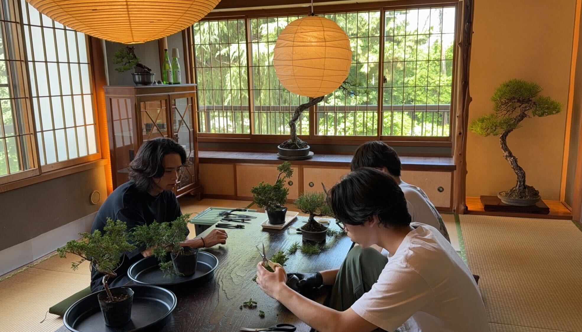和室の座卓で盆栽と道具を前に手を動かす作家たち