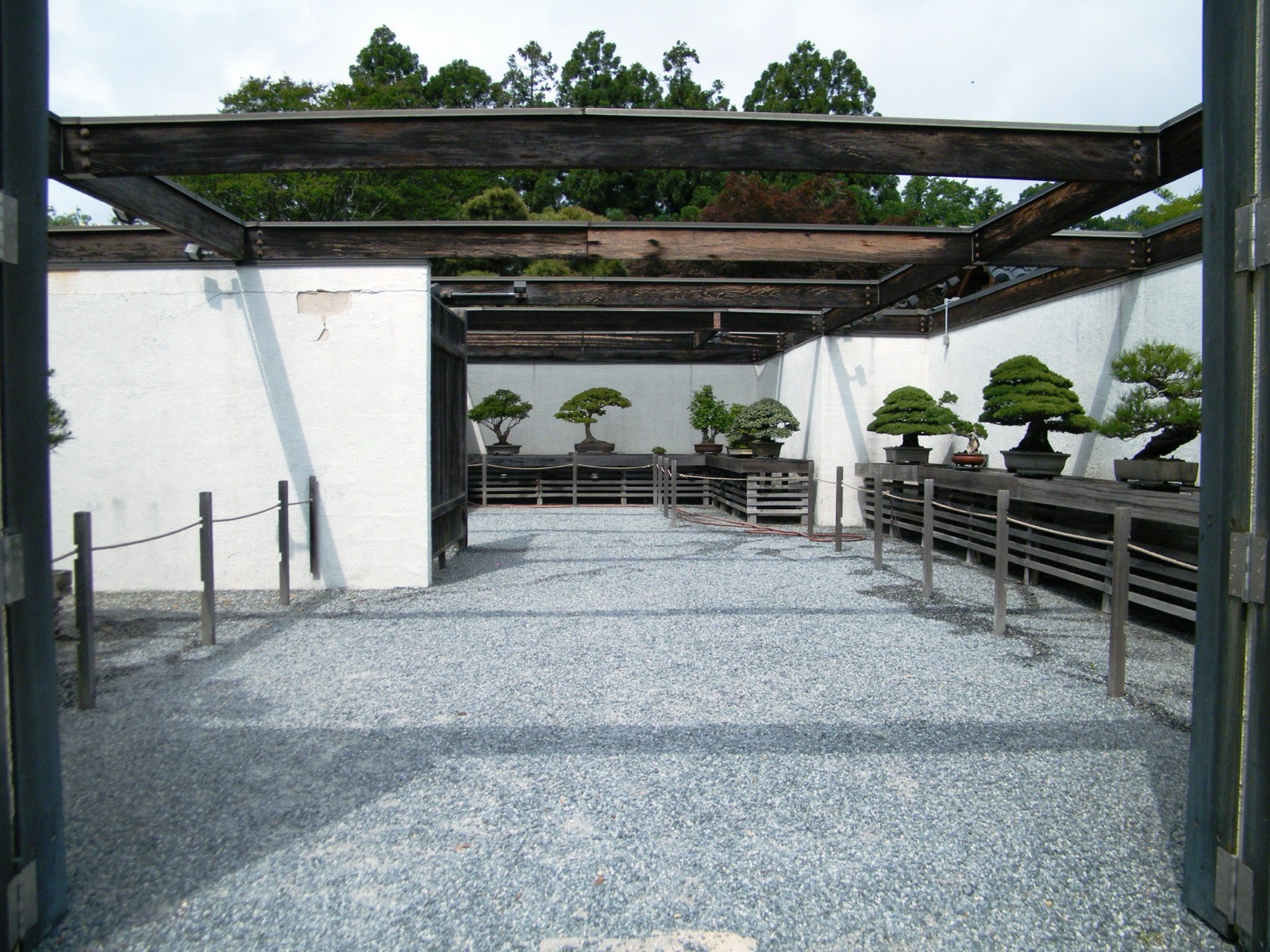Multiple bonsai trees on display in the exhibition hall of the National Bonsai and Penjing Museum