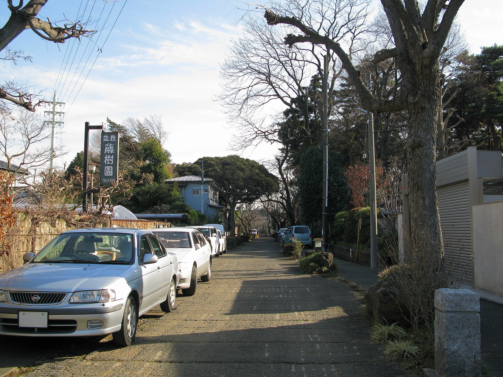 A quiet residential street in Bonsai-cho lined with bare winter trees, a wooden signboard for the Toju-en bonsai garden standing at the roadside