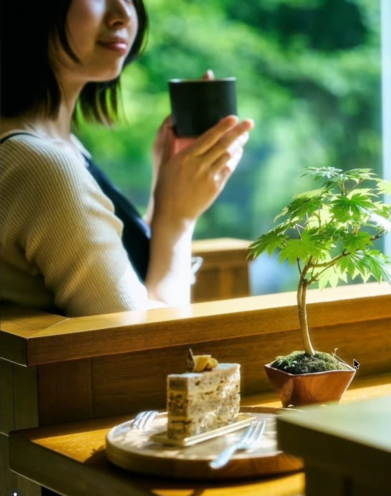 箱根リトリート före & villa 1/f — 滞在の場のなかの盆栽