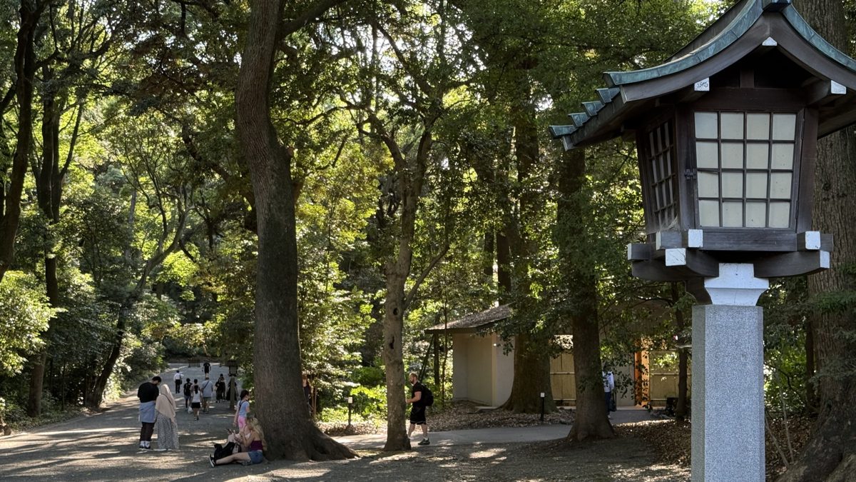 A path through the man-made forest of Meiji Jingu